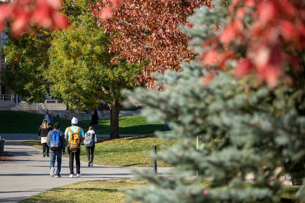 College students walking across campus among autumn trees