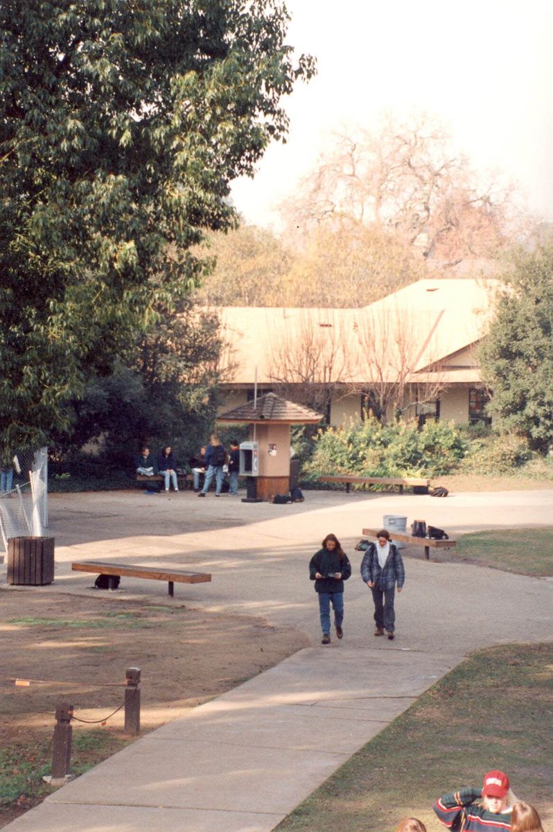 Students walking through a campus quad
